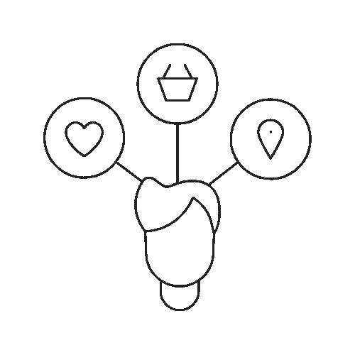 icon illustrating insights